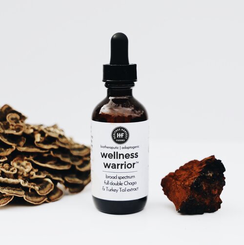 Wellness Warrior: Turkey Tail & Chaga Mushroom Extract, 2oz